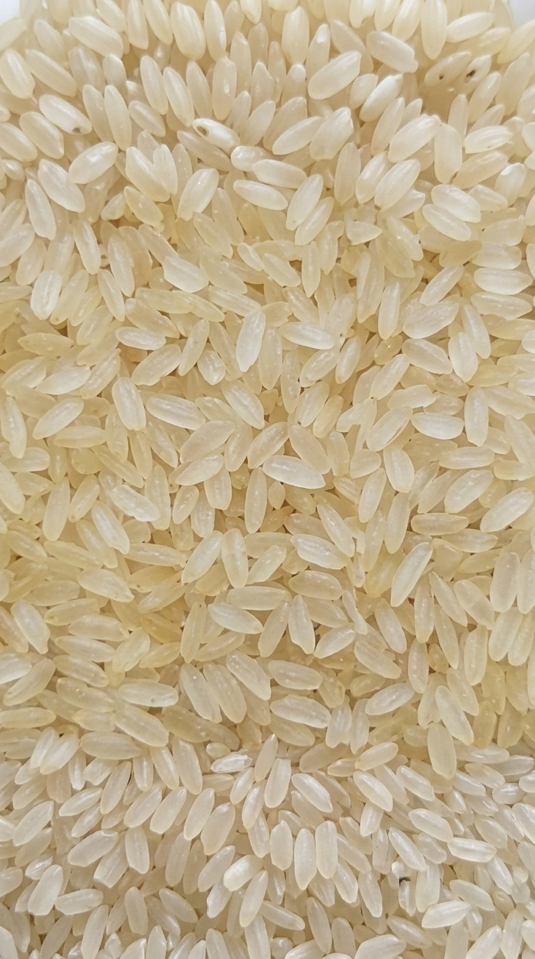 Swarna rice